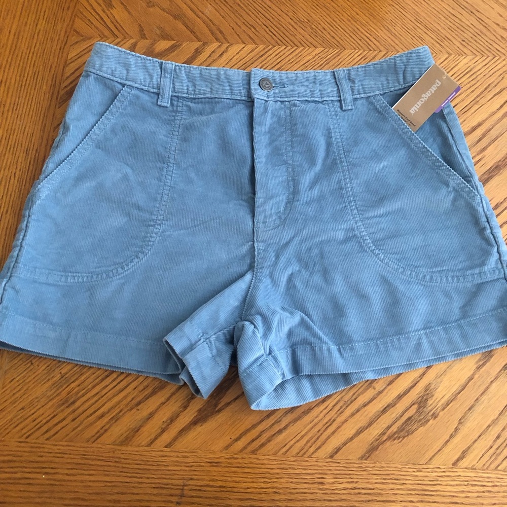 Patagonia Blue Athletic Shorts